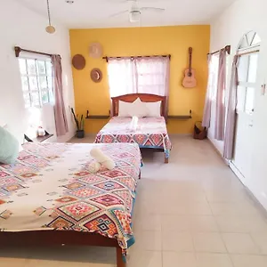 https://cal-drac-holbox.quintano-roohotels.com